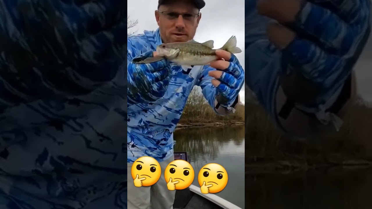 🤔 IS this DENTAL FLOSS size😲 