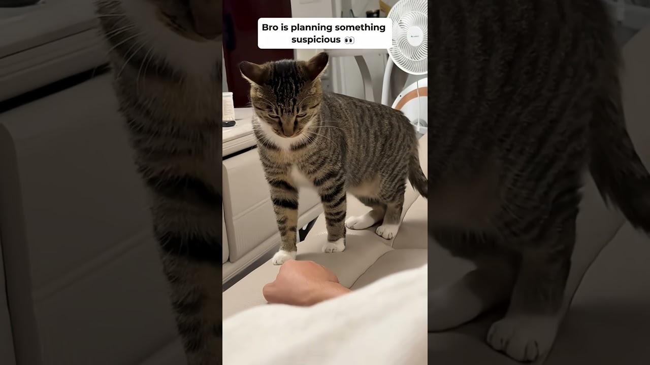 Latest Title & Thumbnail