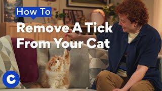 How to Remove a Tick From Your Cat