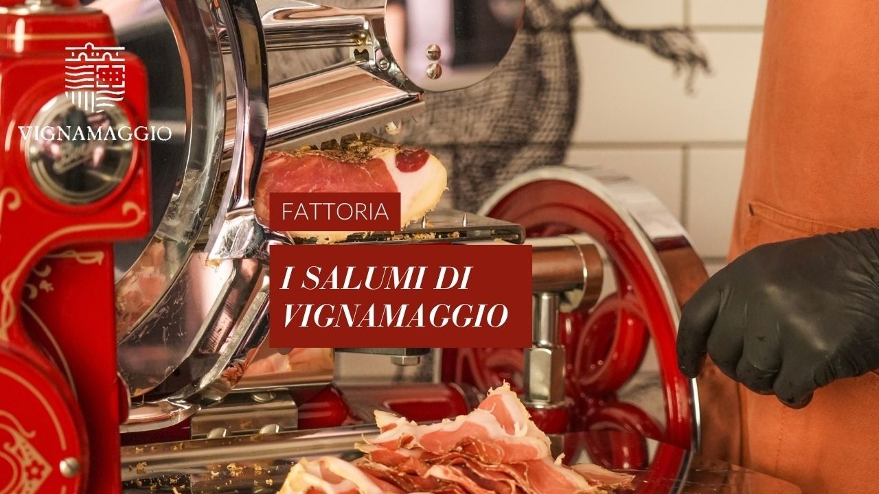 🐖I Salumi di Vignamaggio