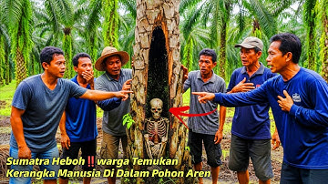 SUMATERA GEMPAR‼️WARGA TEMUKAN KERANGKA MANUSIA DI DALAM POHON AREN, APA YANG SEBENARNYA TERJADI