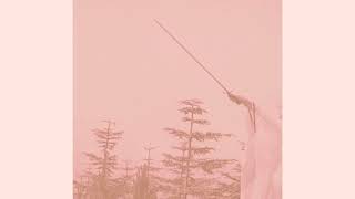 Unknown Mortal Orchestra- Two Generations of Excess