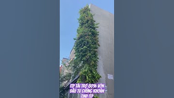 Itp tài trợ 80% vốn cho nhà đầu tư tài năng #itp #itpclub  #ichimoku