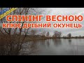 Рибалка до карантину! Дрібний окунець знайшов нову домівку! Спінінгова риболовля в квітні!