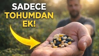 Kesinlikle Tohumdan Ek Bu 10 Bitkiyi Fideden Dikenler Büyük Verim Kaybediyor.