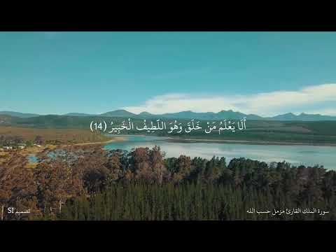 ألا يعلم من خلق وهو اللطيف