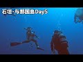 【与那国島Day5】ハンマー狙いのダイビングでしたが夢叶わず