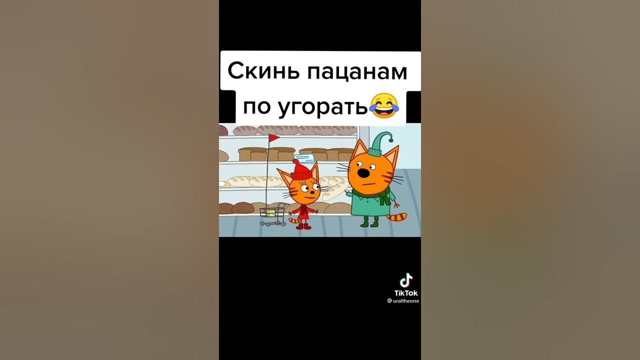 Смешные мемы 3 кота Пин от пользователя Barb на доске Мэмы и кортинки Веселые мемы, Смешные мемы, Ра