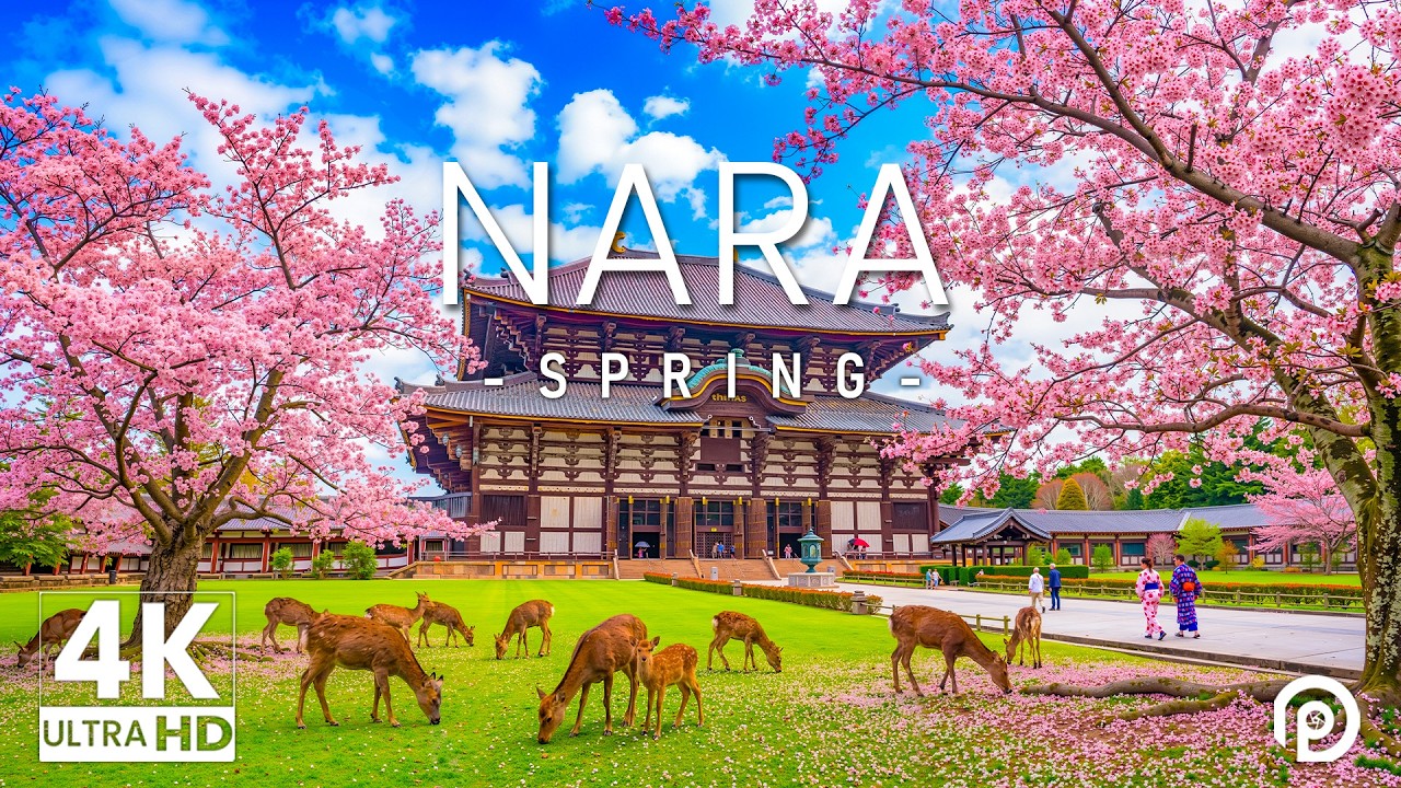 Nara, Japan in Spring 4K - Relaxing Music With Beautiful Natural Landscape - 4K Video UHD