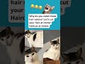 Hair cut at home 😂 #funny #jokes #comedy #humorvibes #memehub