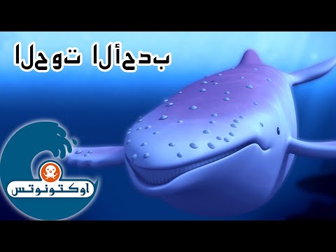 أوكتونوتس الحوت الأحدب الأبيض السلسلة 1 الحلقة 11 كاملة