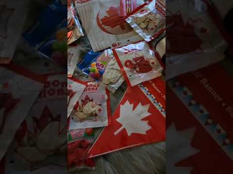 ذكرى سنة على أداء القسم الكندي