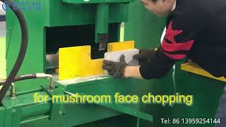 Decorative stone breaking machine for chopping mushroom face, rough face stone paver