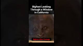 Bigfoot Looking Through a Window in California #Mansy #Bigfoot #Creature #Sasquatch #cryptid