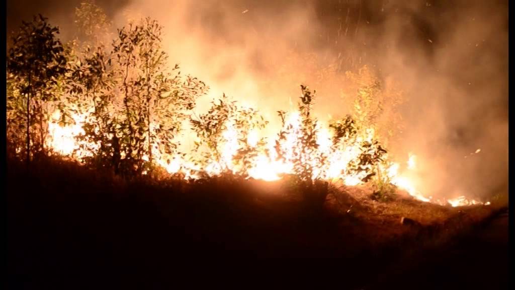 Feux de brousse tanety à Madgascar (Reportage de Francis RAZAFIARISON)
