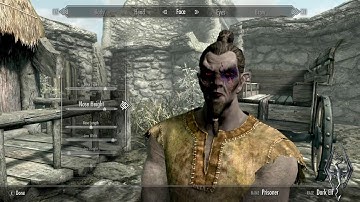 Skyrim : Playthrough Part 1. ( Master Difficulty, No mods, No commentary. )