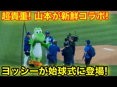 なんとヨッシーが始球式に登場！山本と貴重コラボ！現地映像