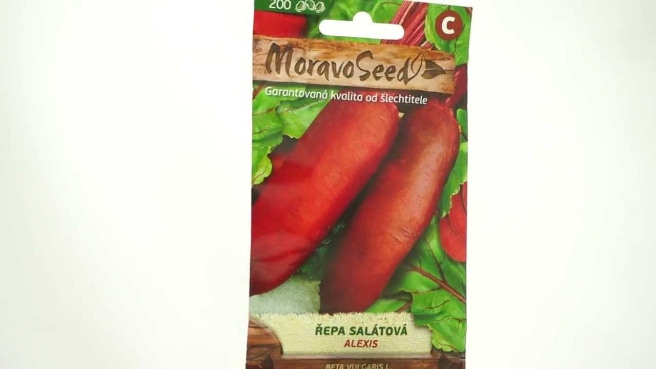 Řepa salátová Alexis