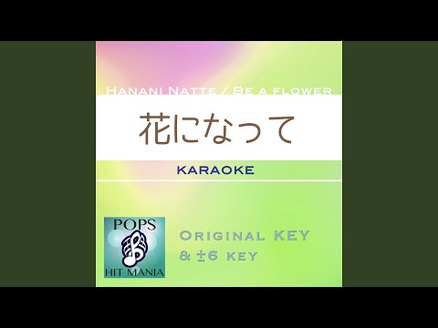 花になって (カラオケ) : Key-4 auf YouTube ansehen