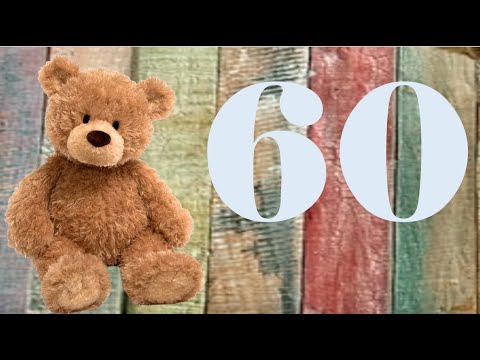 60 Second Teddy Timer