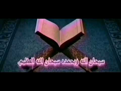 وجاء فرعون ومن قبله والمؤتفكات9فعصوا رسول ربهم فأخذهم10إنا لما طغى الماء حملناكم في11الحاقة