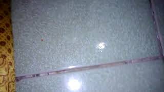 Slime đầu tiên của ngày khai trương Shop screenshot 5