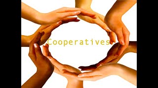 COOP MATI 2020 II_ADVISORY SERVICES