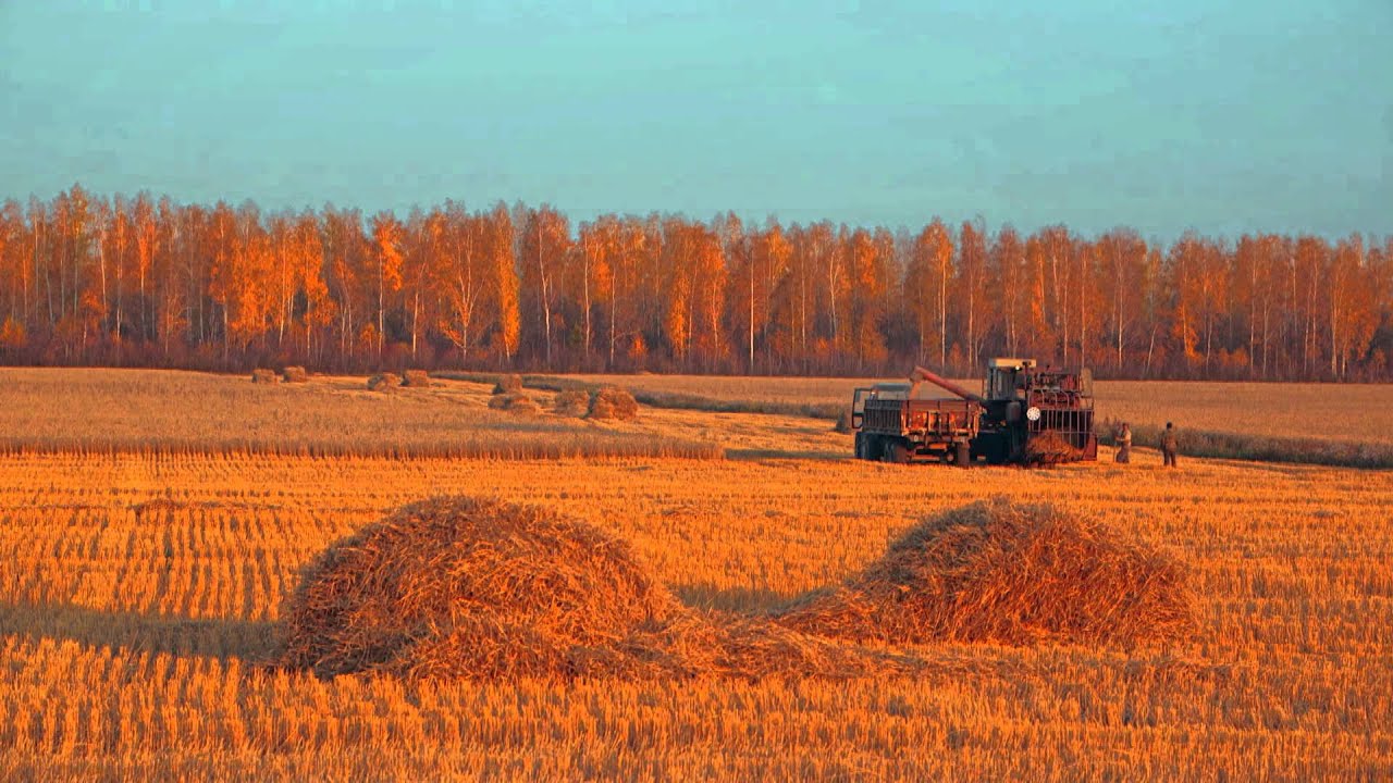 природа южного урала фото смотреть