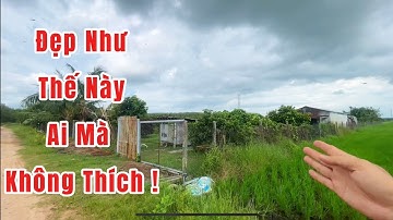 ( Đã Bán) 🏡🍀 Khám Phá Mảnh Vườn Cây Ăn Trái Sum Suê  💥Sở Hữu Ngay Với Giá Tố