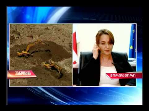 „პანორამის\" შეკითხვებს გარემოს დაცვის და ბუნებრივი რესურსების მინისტრი პასუხობს