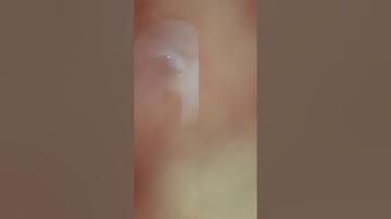 صلاة المغرب يوم الجمعة(١٦/٦/١٤٤٢)؛القارئ همام عادل شاهين