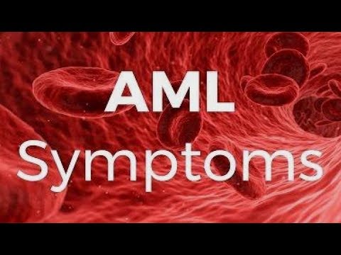 Video: Menargetkan Pensinyalan Sel Punca Leukemia Myeloid Akut Dengan Produk Alami