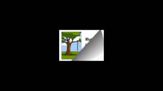 Software Development Life Cycle SDLC fun