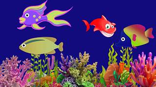 🐟 Starfish Sleep Lullaby ♫ Baby Bedtime Music  Peaceful Ocean Night🫧baby sleep💤