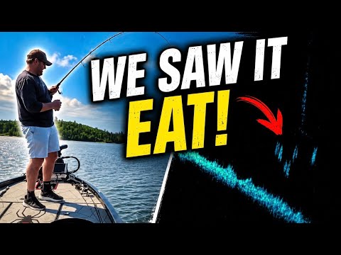 We Were Bass Fishing Until THIS Happened… (Active Target Walleye Action)