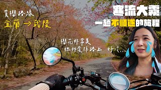 《最艾旅行》台7甲兩天一夜 賞櫻路線 | 武陵農場 | 千櫻園 | NIEN早午餐 | 長腳的店川菜 | 屋頂上的天空 by 艾兒Elle 26,269 views 1 month ago 22 minutes