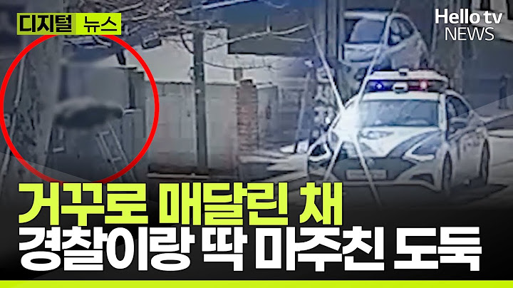 '대낮에 절도 성공?' 옆에서 다 지켜본 경찰 | #디지털뉴스 #헬로tv뉴스
