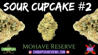 Sour Cupcake #2 Sorten-Review – Mohave Reserve – Cannapedia