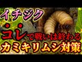 【まさか!?】コレでカミキリムシ対策!農家も知らないとあるもので木に侵入させない。自宅にあるものでもできます。