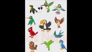 Birds Name in English. Kids Rhymes in English. kids education. 1 std rhymes.