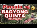 GRABE ANG PINSALA NG BAGYONG QUINTA (SIRANG MGA TANIM) | Byaherong Batangueno