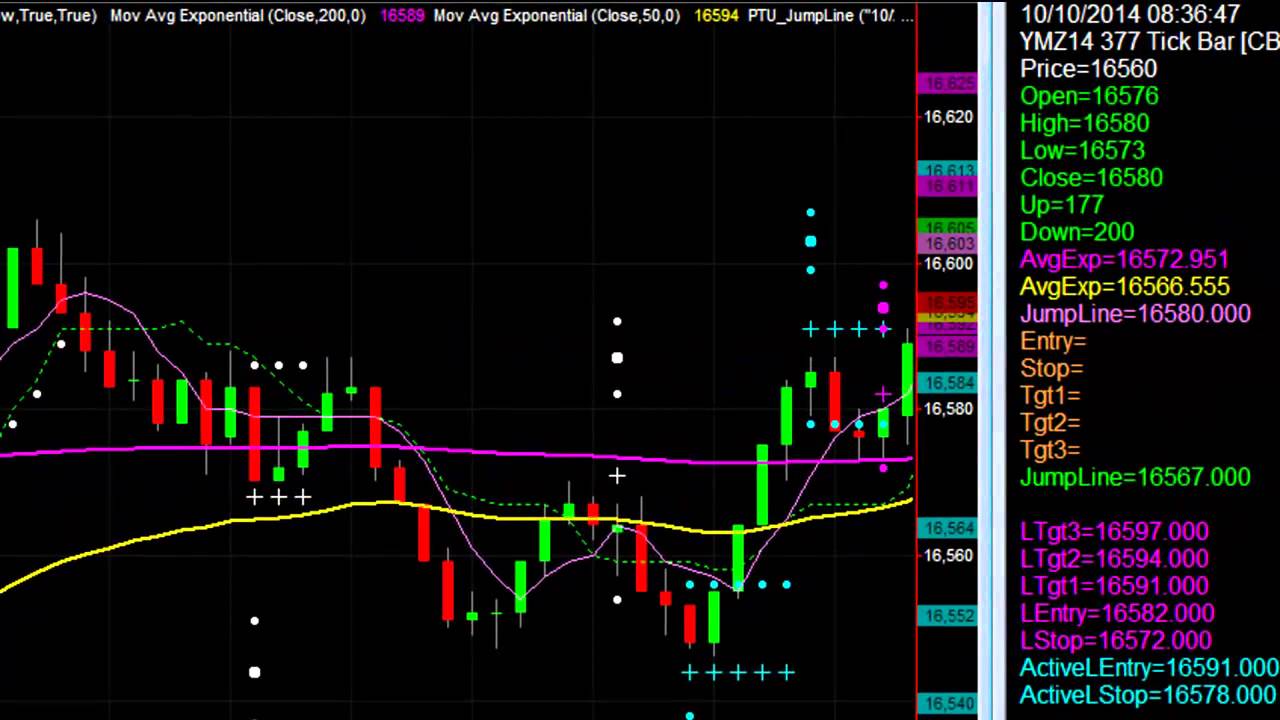 See How Explosive Market Volatility rang in Large Profits with Trend Jumper