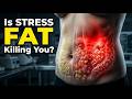 Cortisol Explained: How Stress Changes Your Body (Medical Science)