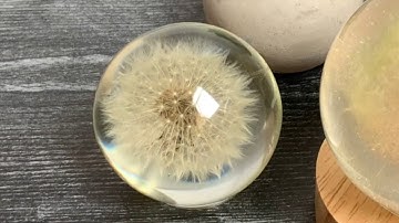 Dandelion in Resin / RESIN Art