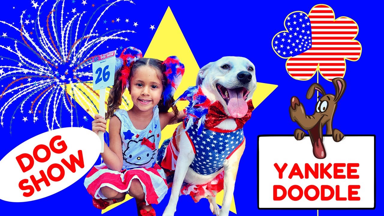 yankee-doodle-dog-show-cute-dogs-in-patriotic-costumes-july-4th-youtube