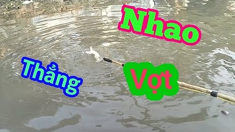 thực tế tet 16 fet siêu rô phi nhao thẳng vợt LH 0362921480