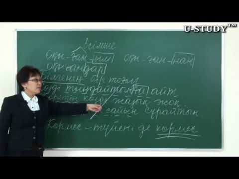 Бейне: НБА. Мағынасы, жіктелуі, ойындары, аббревиатурасы және үздік баскетболшылар