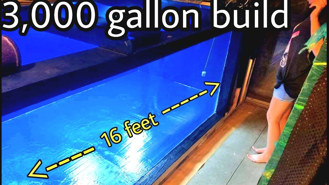 3,000 gallon plywood build at ohio fish rescue for our Monster Fish