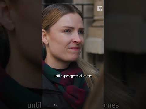 New York's rat war #newyork #nyc #rats #newyorkrats