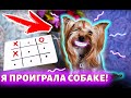 ИГРАЮ "КРЕСТИКИ-НОЛИКИ" С ЙОРКОМ. Я ПРОИГРАЛА СОБАКЕ!